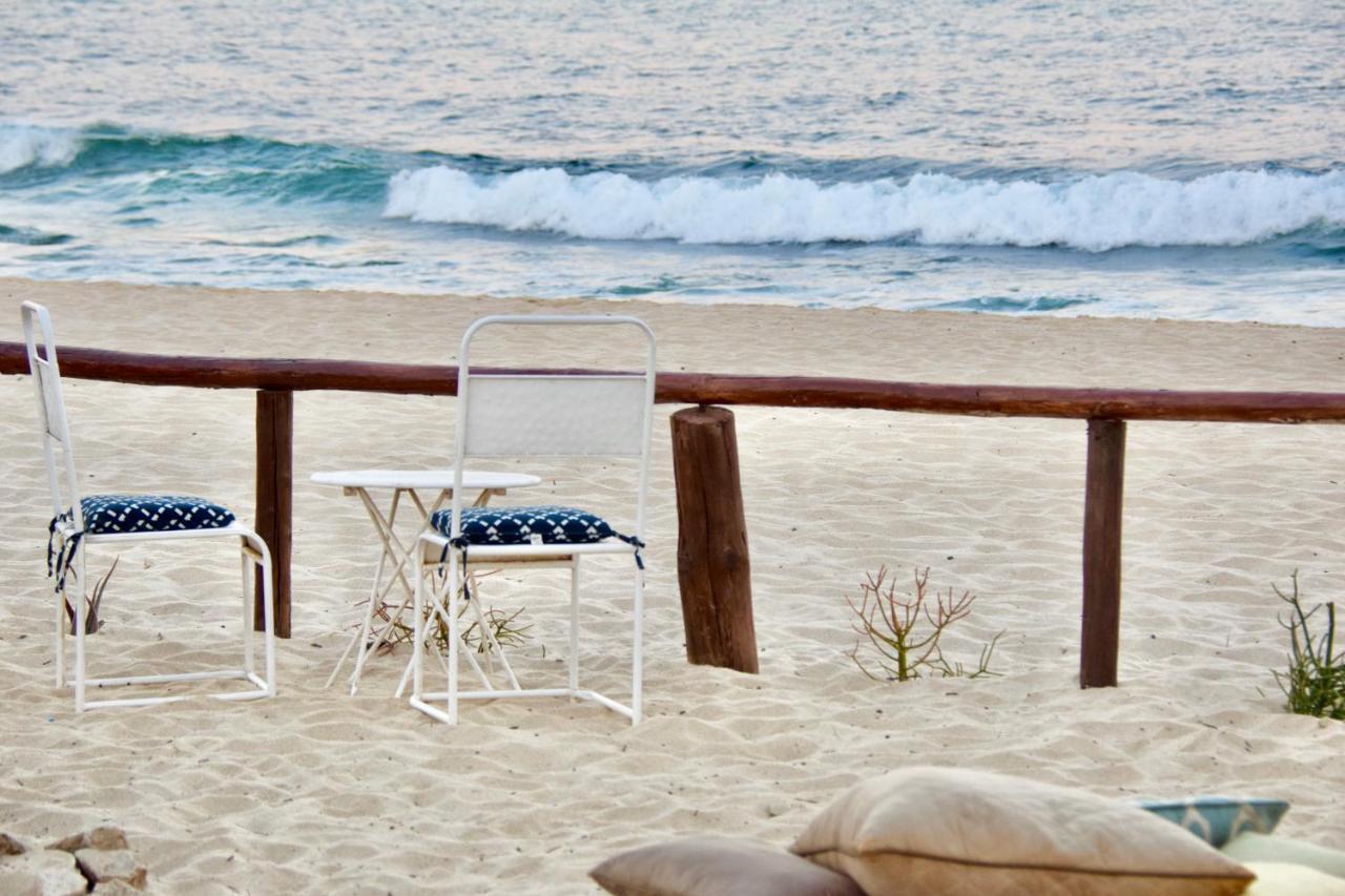 Rustico Lounge - Property In Front Of The Beach San José del Cabo Eksteriør billede